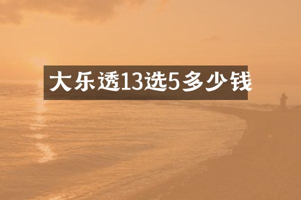 大13选5多少钱