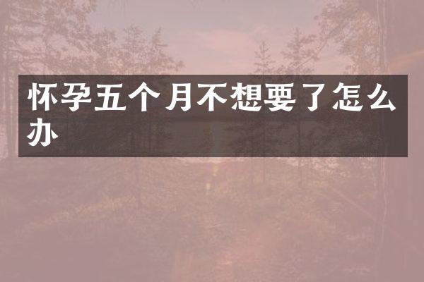 怀孕五个月不想要了怎么办