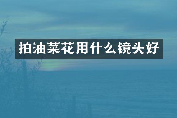 拍油菜花用什么镜头好
