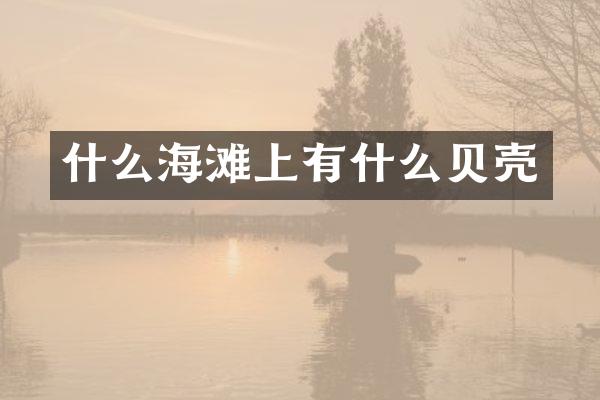什么海滩上有什么贝壳