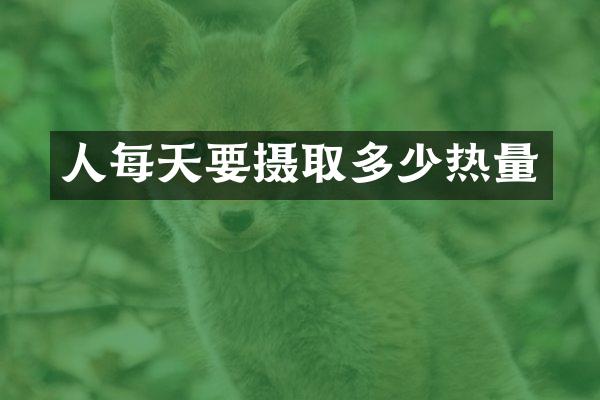 人每天要摄取多少热量