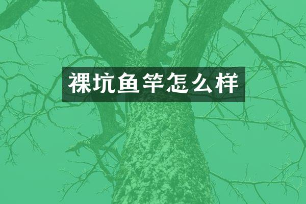 裸坑鱼竿怎么样