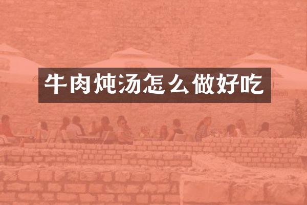 牛肉炖汤怎么做好吃