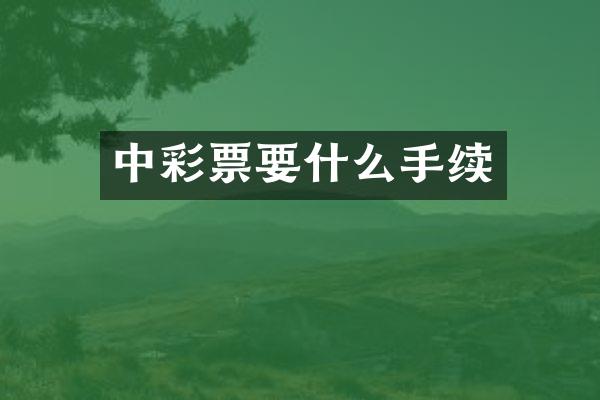 票要什么手续