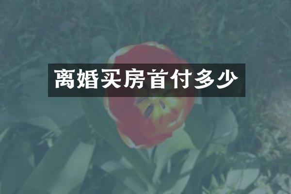 离婚买房首付多少
