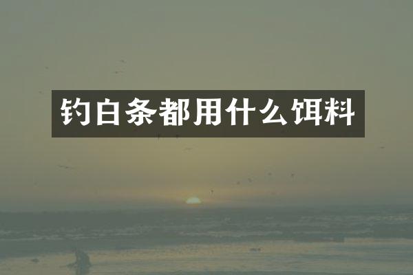 钓白条都用什么饵料