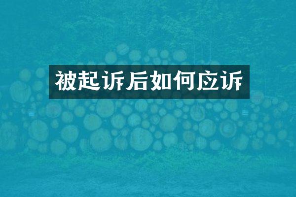 被起诉后如何应诉