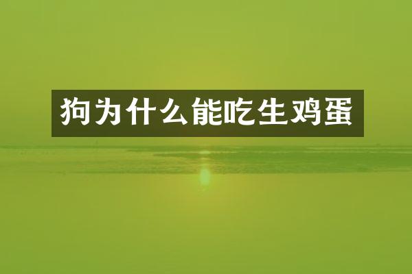 狗为什么能吃生鸡蛋