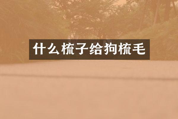 什么梳子给狗梳毛