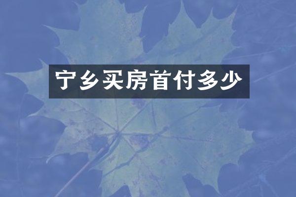 宁乡买房首付多少