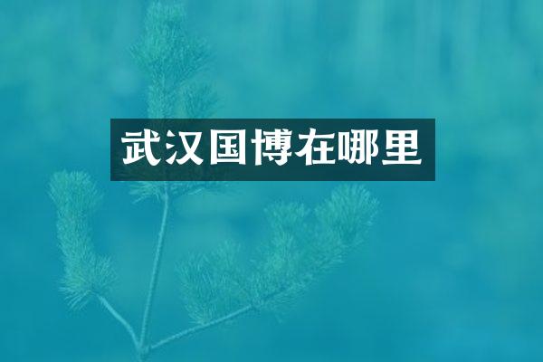 武汉国博在哪里