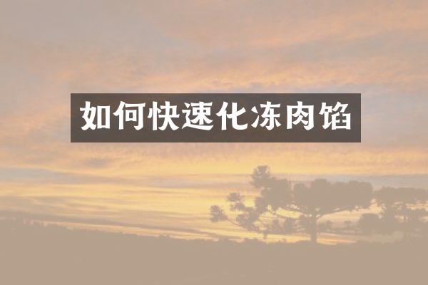 如何快速化冻肉馅