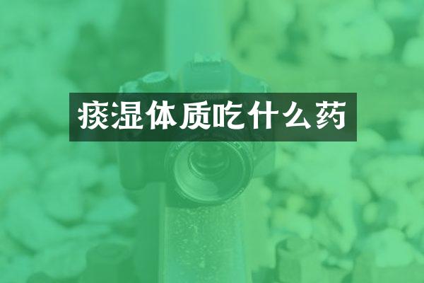 痰湿体质吃什么药