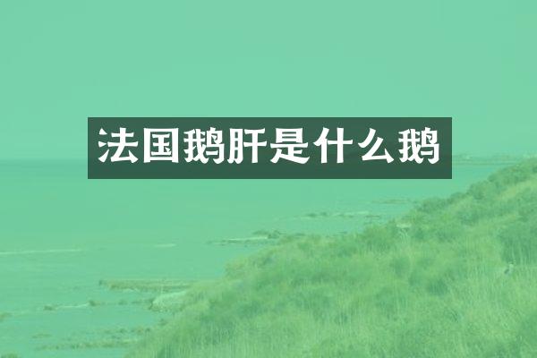 法国鹅肝是什么鹅