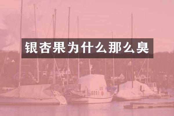 银杏果为什么那么臭