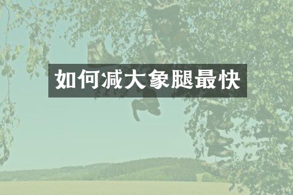 如何减大象腿最快
