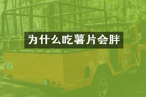 为什么吃薯片会胖