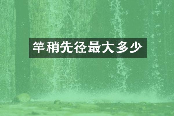 竿稍先径最大多少