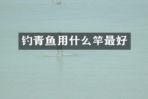 钓青鱼用什么竿最好