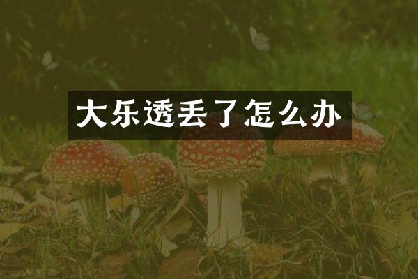 大丢了怎么办