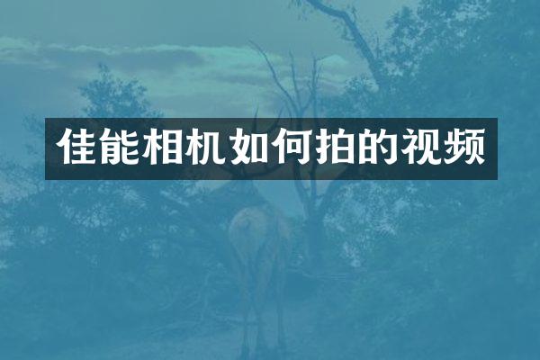 佳能相机如何拍的视频