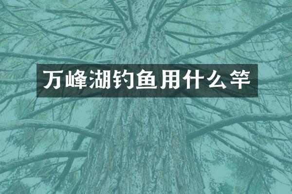 万峰湖钓鱼用什么竿