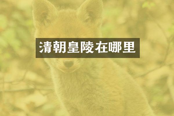 清朝皇陵在哪里