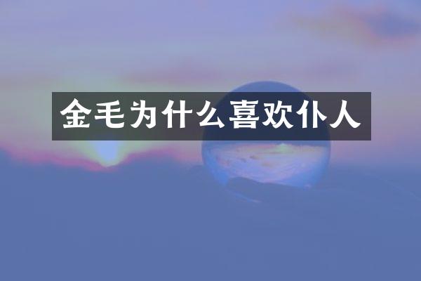 金毛为什么喜欢仆人