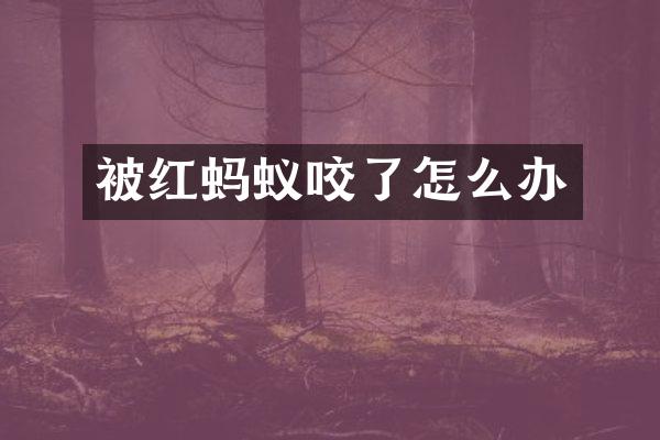 被红蚂蚁咬了怎么办