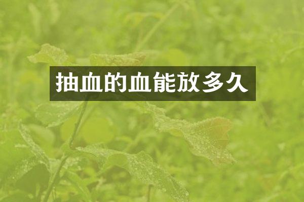 抽血的血能放多久