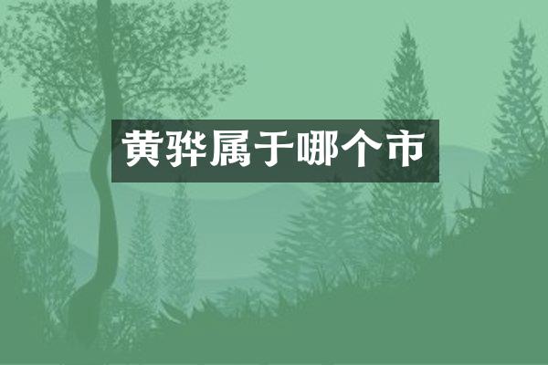 黄骅属于哪个市