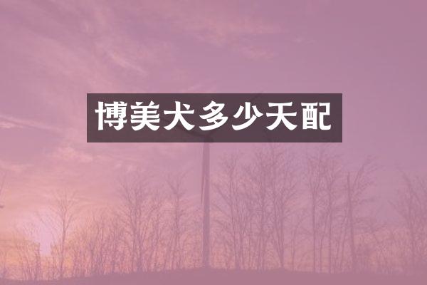 博美犬多少天配