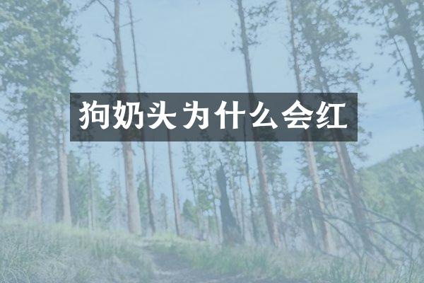 狗奶头为什么会红