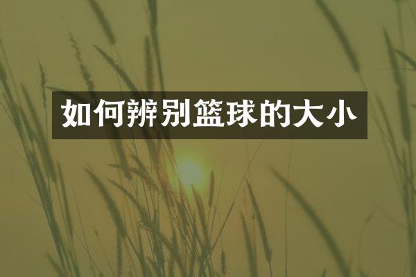 如何辨别篮球的大小