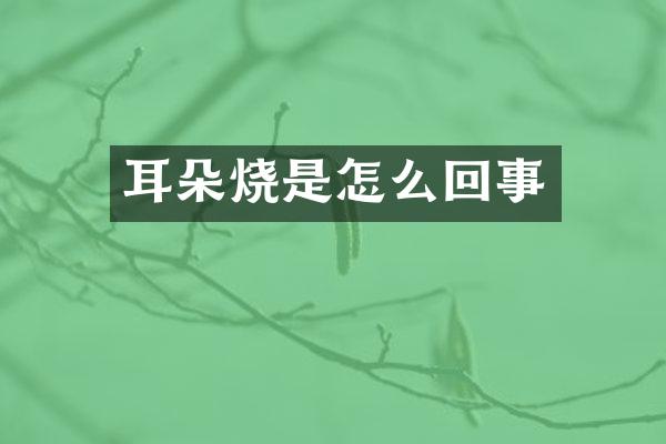 耳朵烧是怎么回事