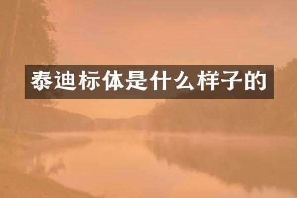 泰迪标体是什么样子的
