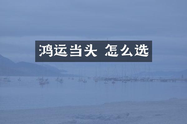 鸿运当头 怎么选
