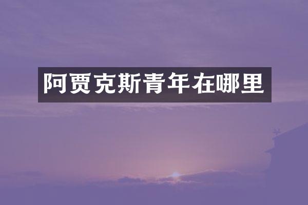 阿贾克斯青年在哪里