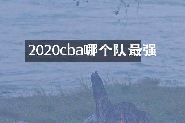 2020cba哪个队最强