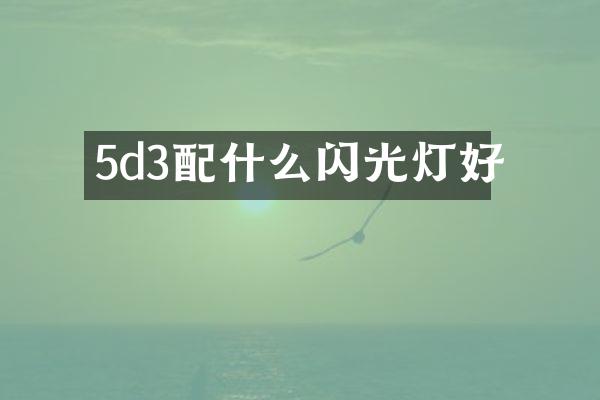 5d3配什么闪光灯好