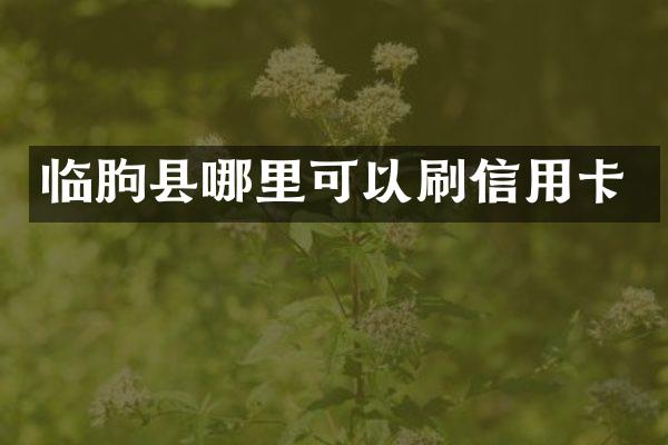 临朐县哪里可以刷信用卡