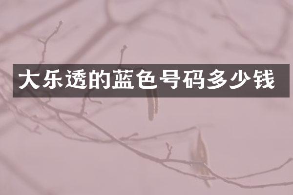 大的蓝色号码多少钱