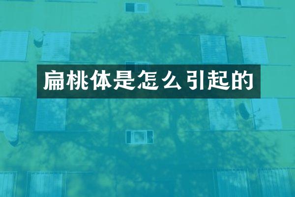 扁桃体是怎么引起的