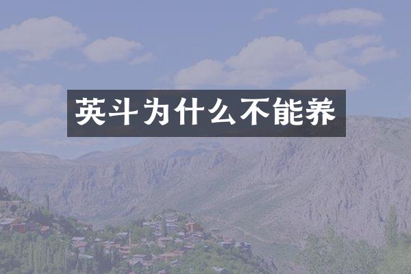 英斗为什么不能养