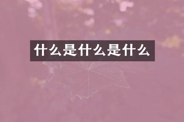 什么是什么是什么
