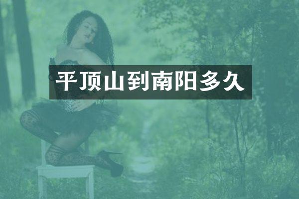 平顶山到南阳多久