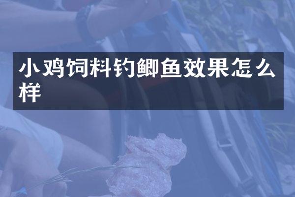 小鸡饲料钓鲫鱼效果怎么样
