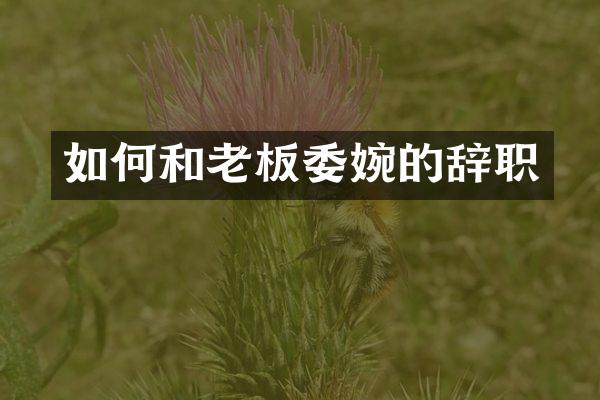 如何和老板委婉的辞职