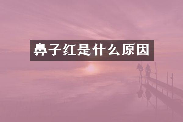 鼻子红是什么原因
