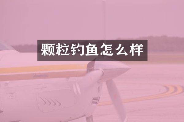 颗粒钓鱼怎么样